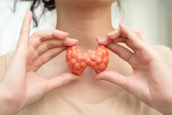 Woman holding a model of a human thyroid gland Woman holding a model of a human thyroid gland
