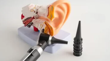 A medical model of the human ear next to an otoscope, illustrating the anatomy involved in an ear infection