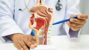 A doctor using a medical model to explain thyroid gland anatomy and cancer development.